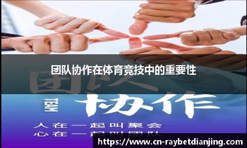 雷竞技官方网站